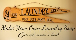 Make your own Laundry Soap...for only pennies a load!