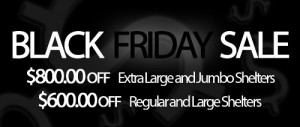 Black Friday Sale