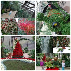 Callaway Gardens Christmas gardens